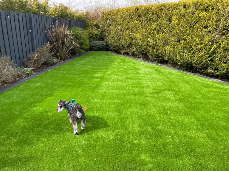 Artificial grass installation
