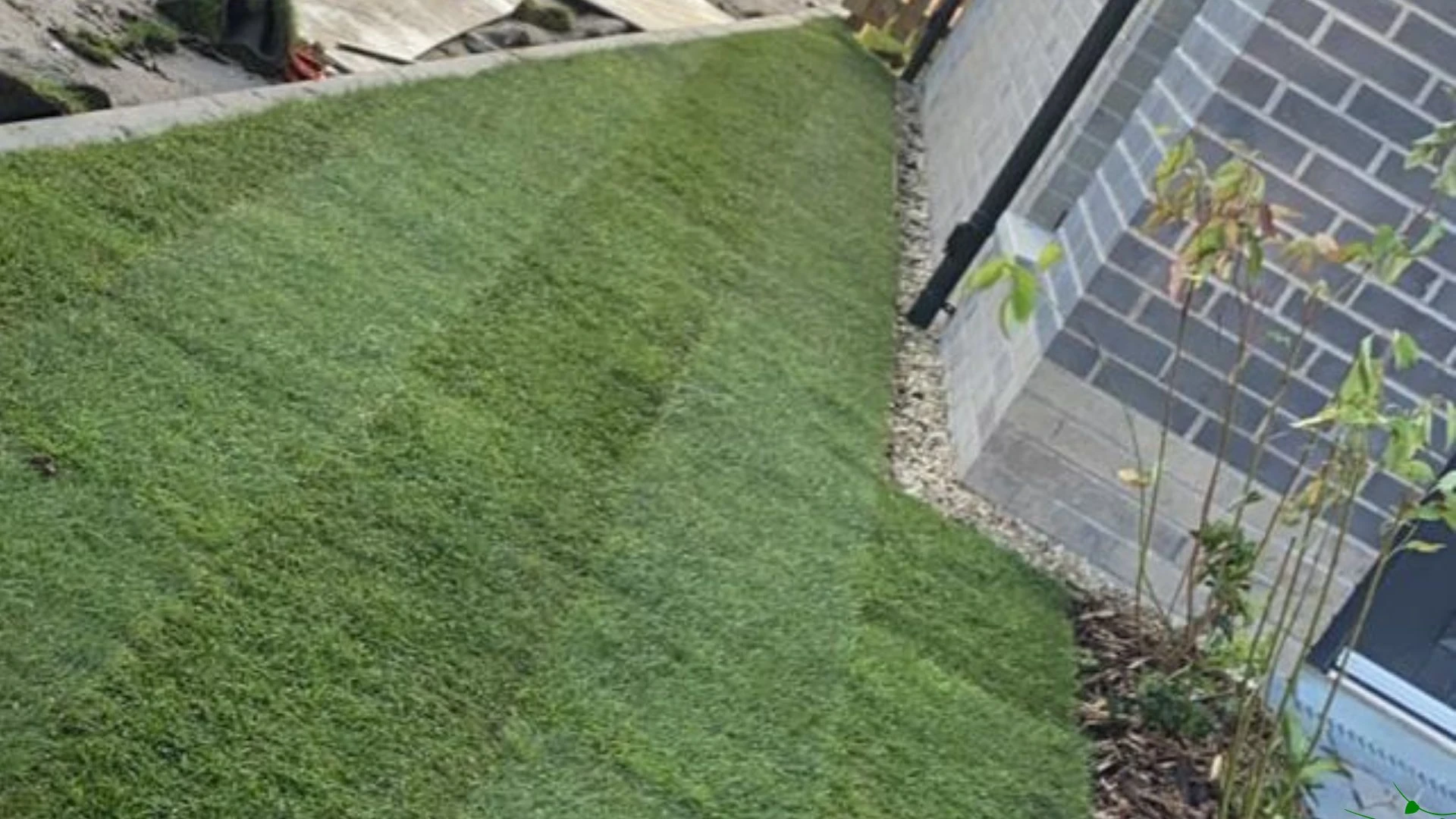Garden lawn laid beside a brick house with a planted border.
